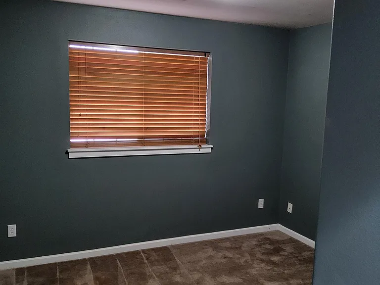 20377 Vassar Pl — Photo 3
