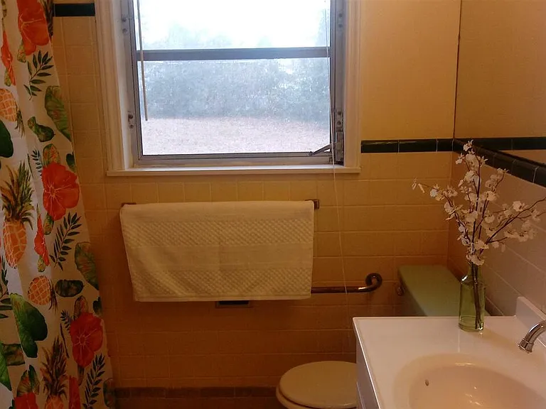 203 Walnut Dr — Photo 6