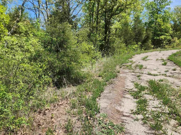 L 9 B Minnetree Cir #2, Cherokee Village, AR 72529