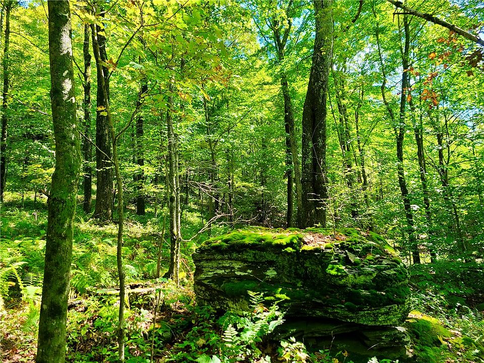 356 Betty Mountain Rd, Fleischmanns, NY 12430 Zillow