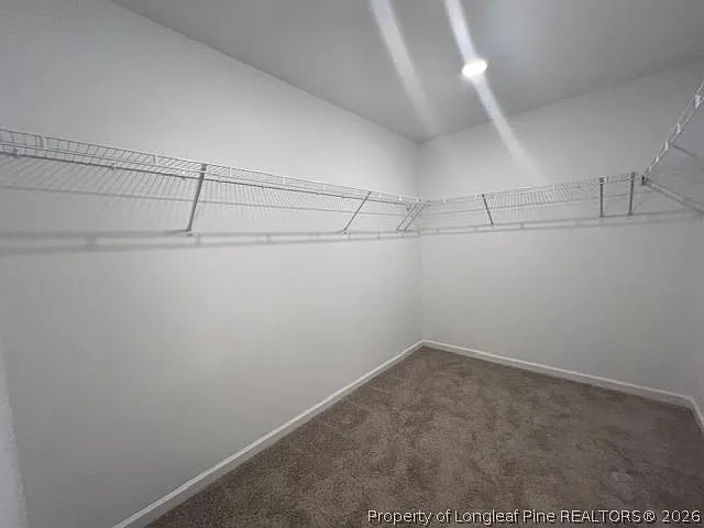 151 Cahill Ct — Photo 25