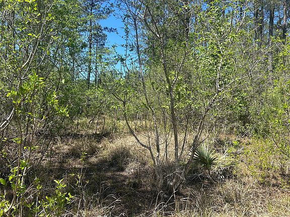 3rd image of LOT 39 Carter Ranch Rd Lot 39