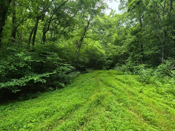 0 Williams Rd, Cornersville, TN 37047