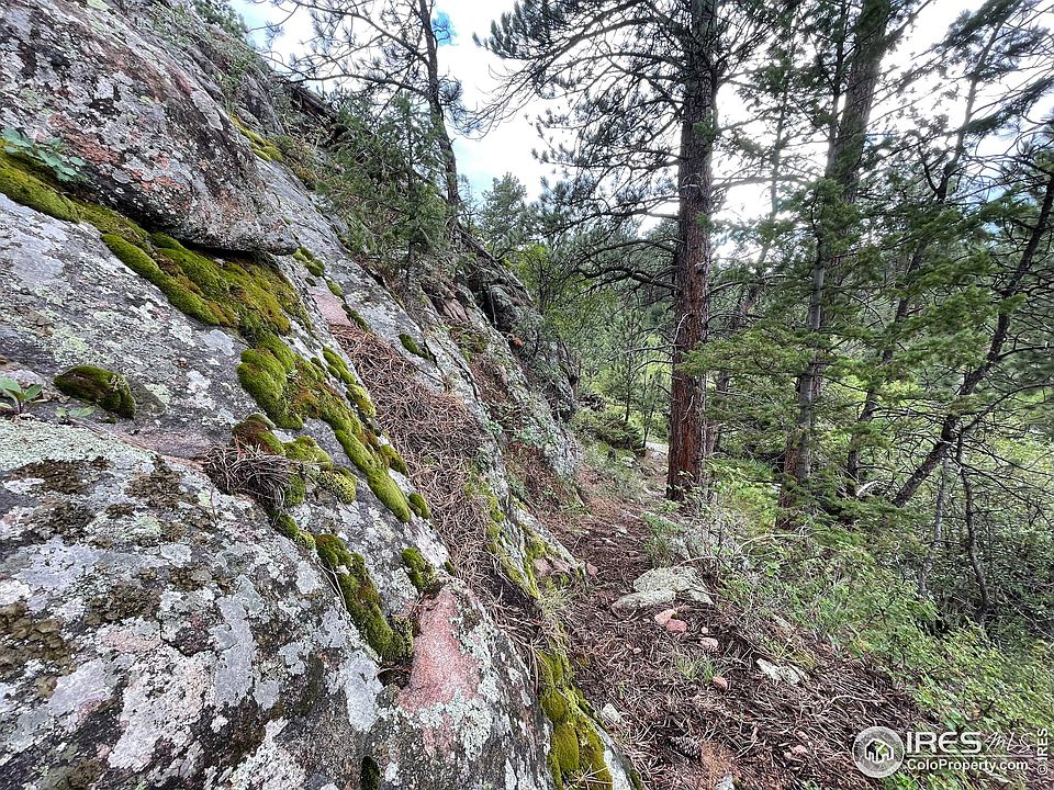 250 Parvin Ct, Red Feather Lakes, CO 80545 Zillow