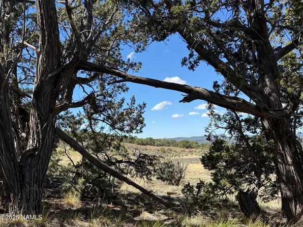 0 W Palomino Dr, Williams, AZ 86046