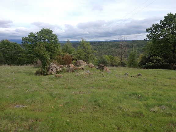Terrain for Cattle to Graze