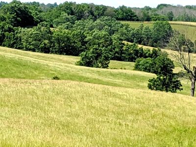 453 Morning Glory Rd, Cynthiana, KY, 41031