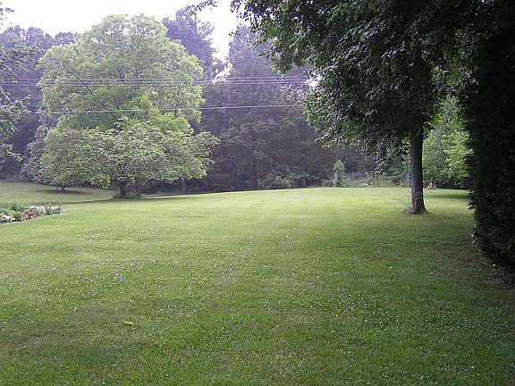 property line extends into woods