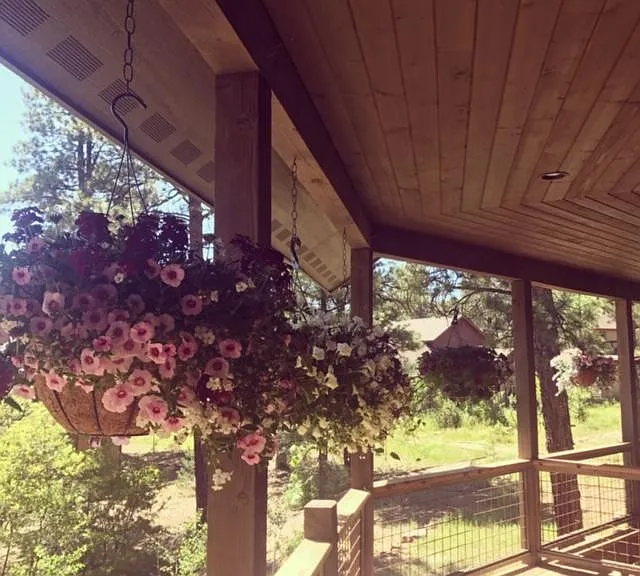 71 Deep Creek Ct — Photo 13