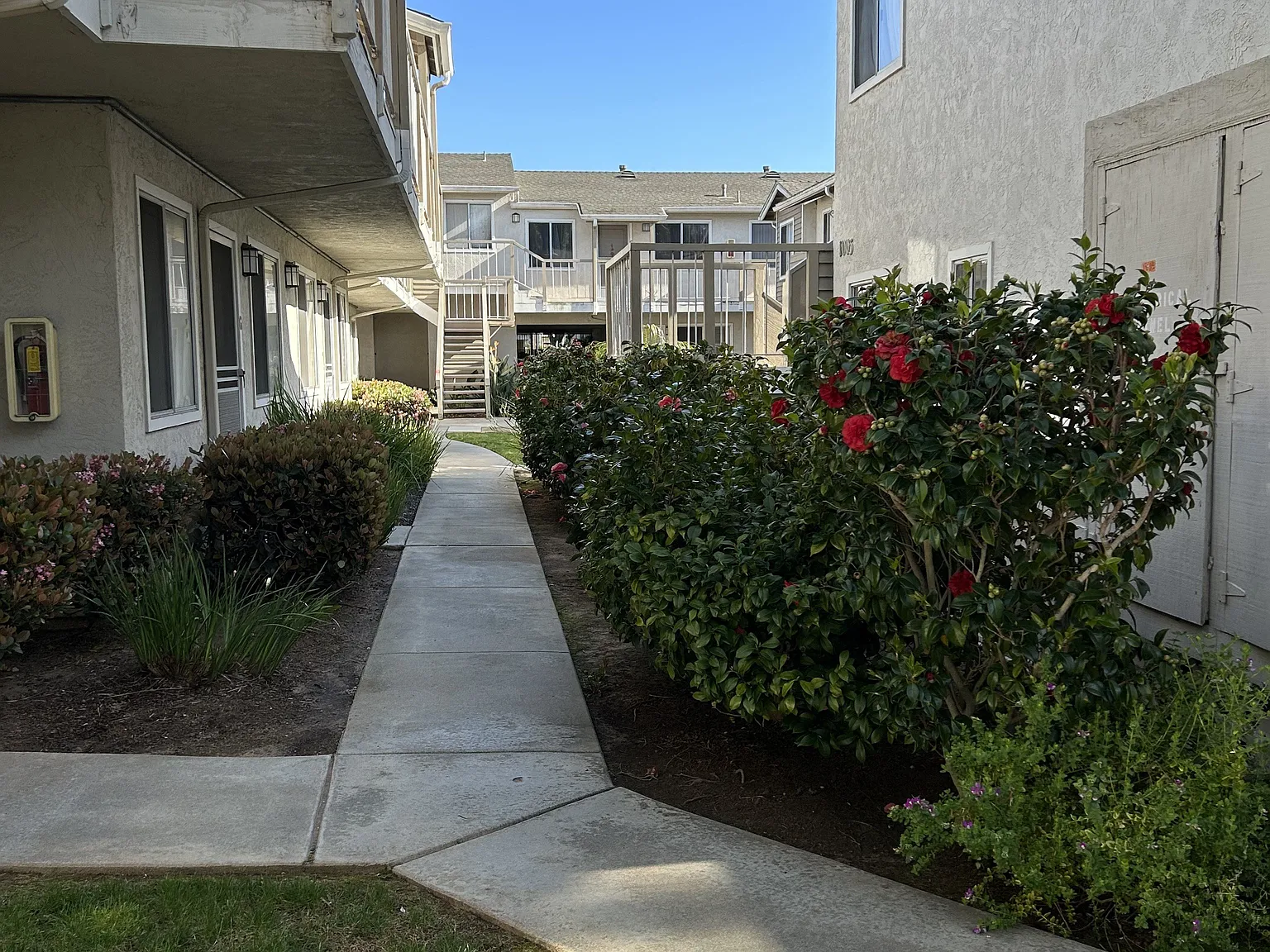 Carlsbad Sunset Senior Apts — Photo 2