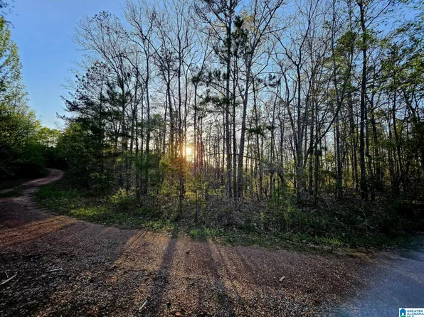 0 Pointe South Dr #69-70-73, Wedowee, AL 36278