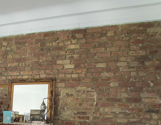 Rented by Gala West Realty LTD | media 19