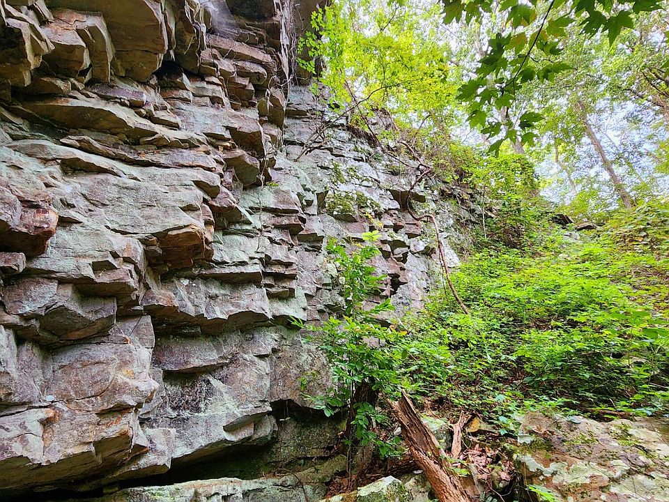 43rd image of this home