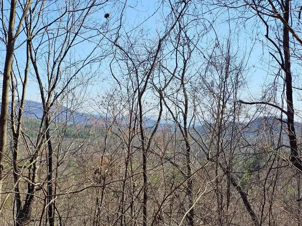 LOT 39 Merlin Trail Warbler Rd, Murphy, NC 28906