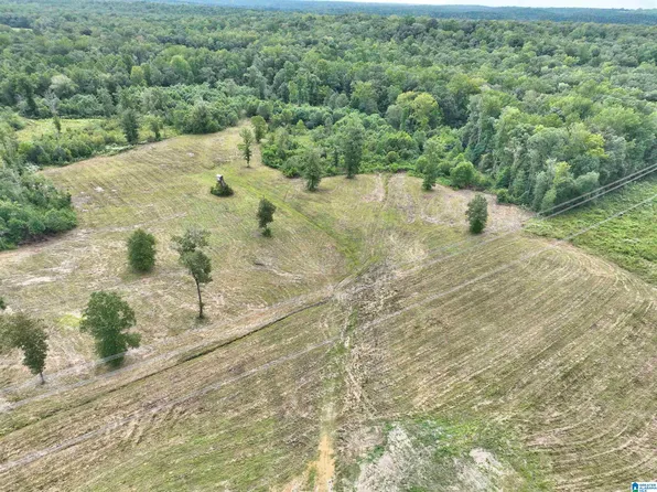 0 County Road 191 #Na, Maplesville, AL 36750