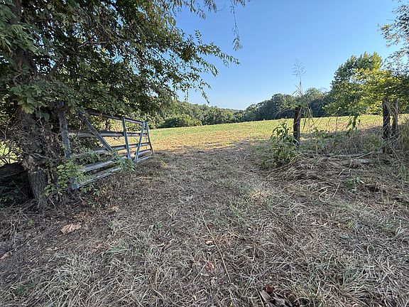 3rd image of 68A Lafferty Rd