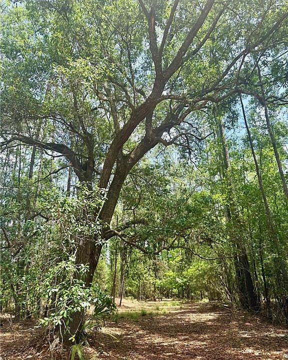 1st image of 0 Timber Landing Rd