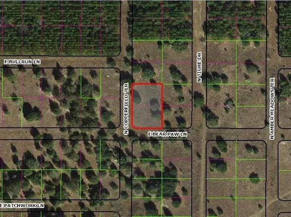 229 N Copperfield Ter #11, Inverness, FL 34453