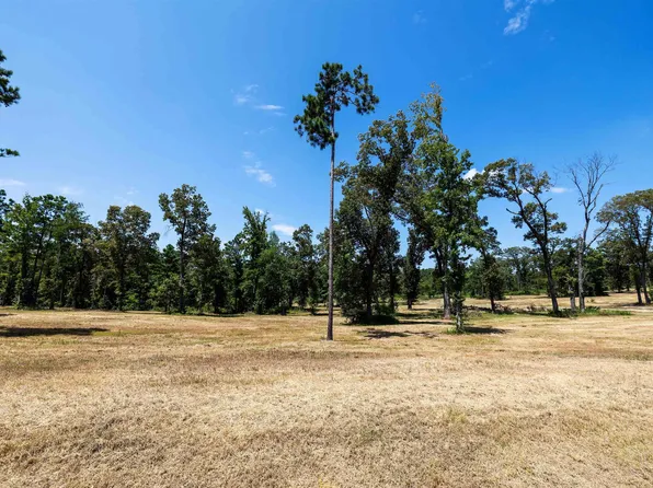 15702 Aniston Ln Lot 24, Flint, TX 75762