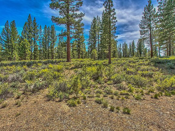 5th image of 7575 Lahontan Dr