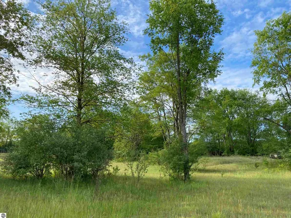 25 Deer Track Trl, Thompsonville, MI 49683