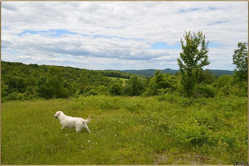 2nd image of 0 OAK HILL Road #Sheldon Road