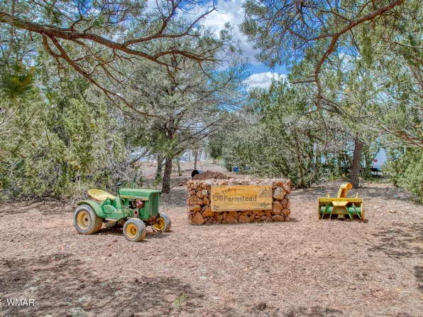 21 County Road N3095, Vernon, AZ 85940