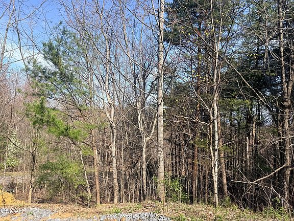 5th image of 0 Trentham Rd