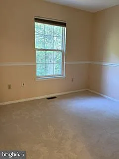 922 Glackens Ln — Photo 19