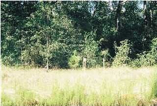 1st image of 9711 Summer Creek Dr