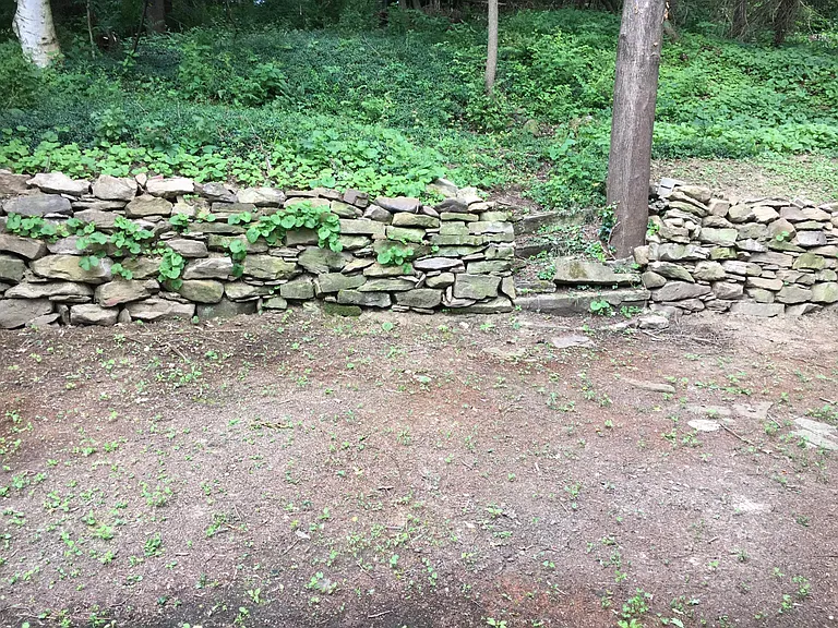 rear yard