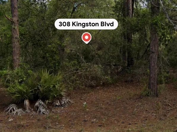 308 Kingston Blvd, Satsuma, FL 32189