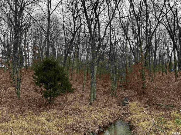 0 N Hickory Ln, Woodlawn, IL 62898