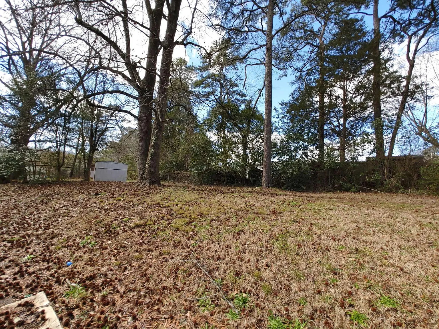 3 bed, 990 sqft, $1,600 — Photo 2