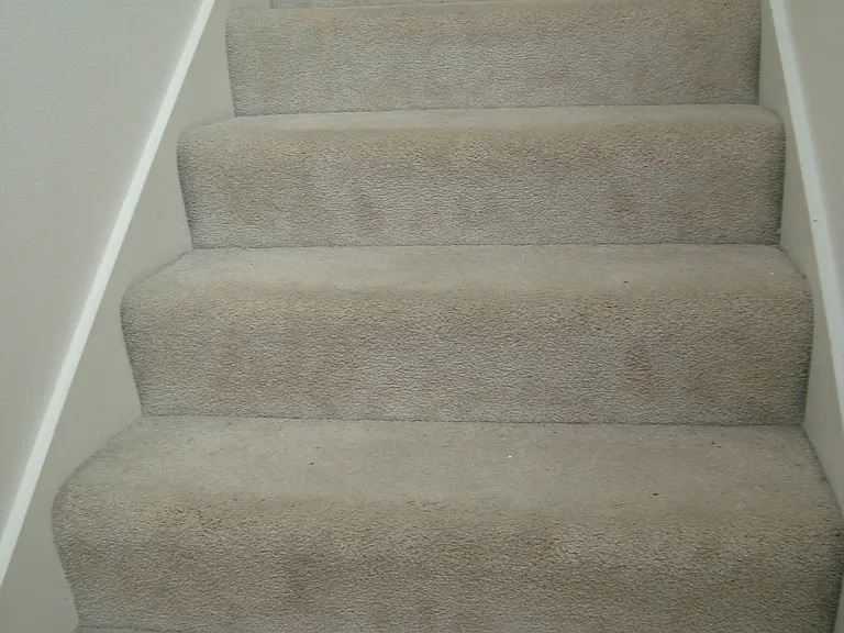 2185 Bush St #310 — Photo 12