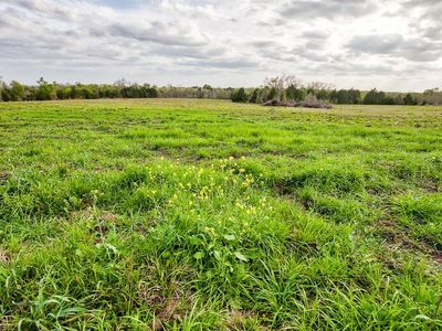 13380 Fm 1155 E, Washington, TX, 77880