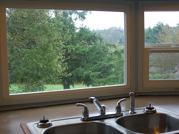 Kitchen -- Sink & View