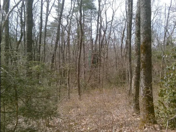 0 Cowee Mount, Highlands, NC 28741