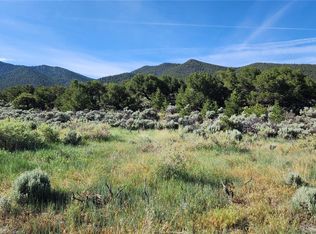 1117 Pfotenhauer Rd, Fort Garland, CO 81133