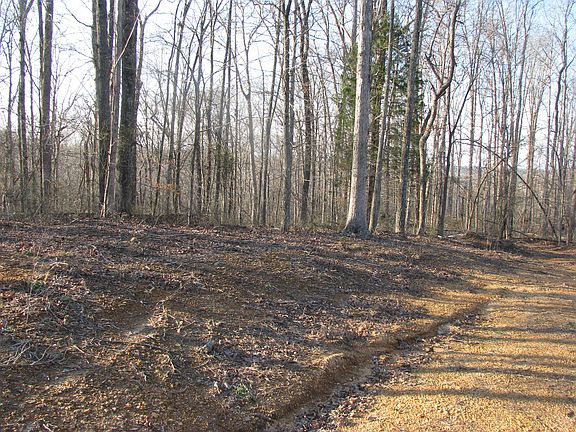 view to the right