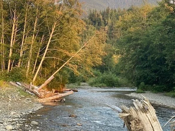 33102 33110 State Route 530 NE, Arlington, WA 98223