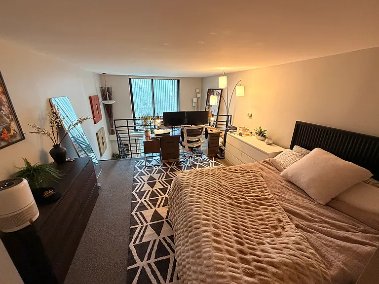 1221 N Dearborn St #411N — Photo 8