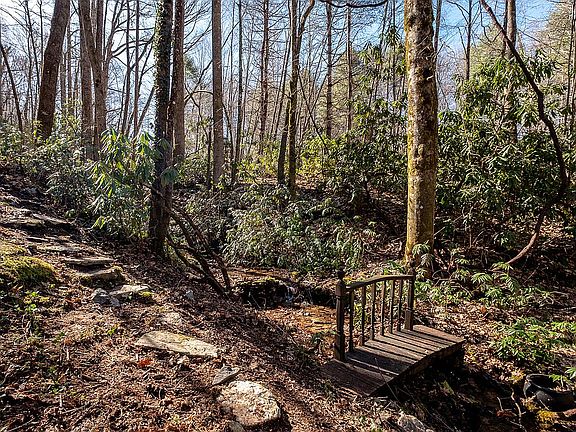 5th image of 38 W Dogwood Cir