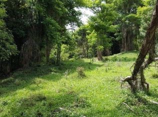 LOT 1 Lot 19, Kealakekua, HI 96750