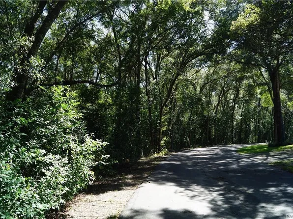 3505 N Woodgate Dr Lot 1-6, Beverly Hills, FL 34465