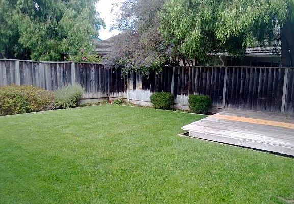 Back yard