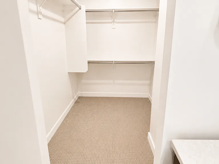 master walk in closet 1