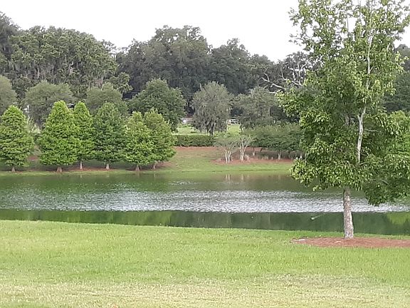POND VIEW