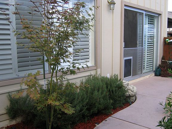 Fenced patio