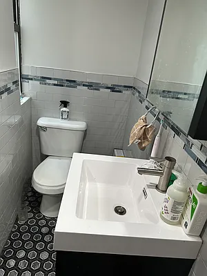 Rented by Borough Properties LLC | media 16